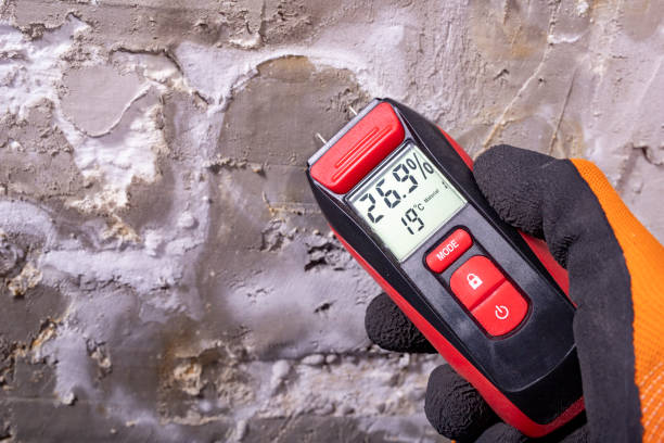 Best Black Mold Removal  in Sutter, CA