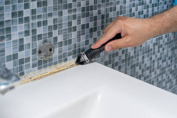 Best Mold Remediation  in Sutter, CA