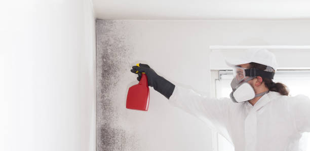 Best Mold Testing  in Sutter, CA