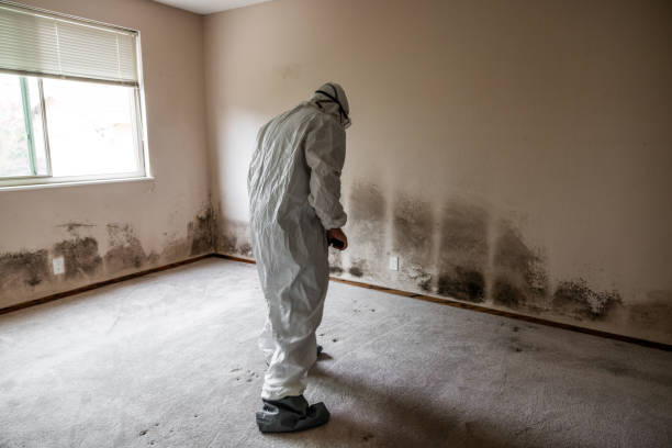 Best Mold Testing  in Sutter, CA