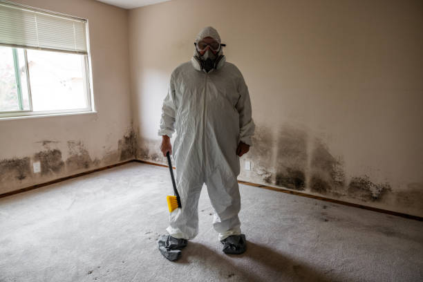 Professional Mold Removal in Sutter, CA